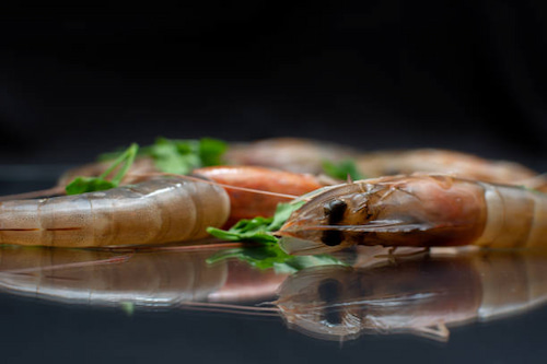 قیمت میگو پرورشی سایز 170